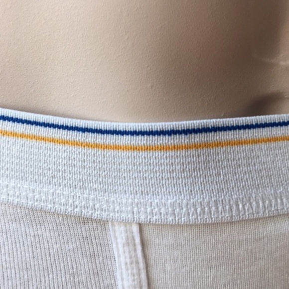 FRUIT of the Loom Briefs Gold Blue Band Tighty Whities Vintage Lot 3 PR Vintage - Picture 8 of 11